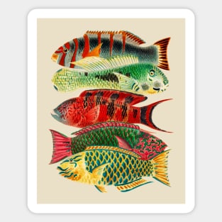 Tropical Fish Sticker